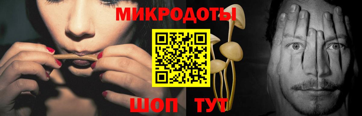 Псилоцибиновые грибы Cubensis Черногорск